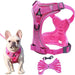 Comfortable Breathable Adjustable No Pull Dog Vest Harnesses
