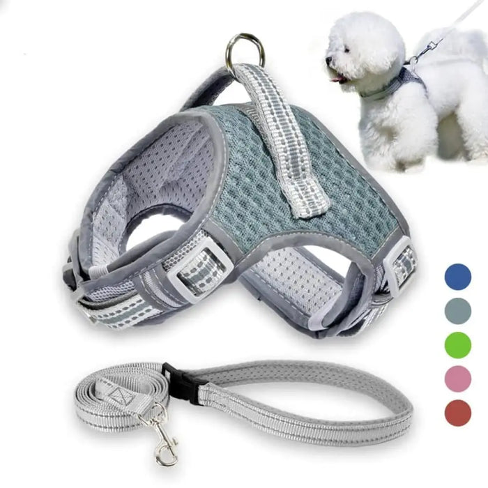 Comfortable No Pull Adjustable Dog Harness And Leash Set Air