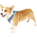 Durable Breathable Soft Adjustable Fleece Dog Harnes Leash