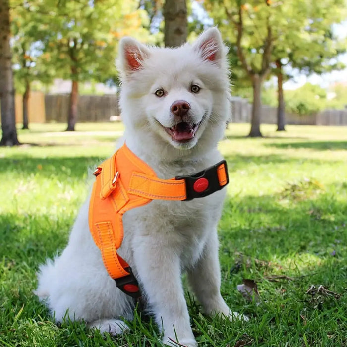 Durable No Pull Adjustable Reflective Breathable Dog Harness
