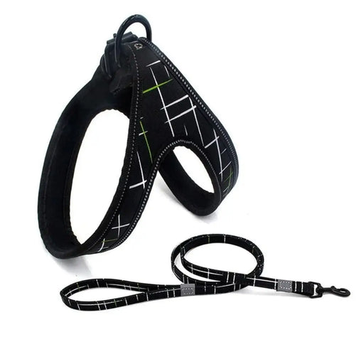Durable Soft Padded Reflective Pet Harness Leash Set For