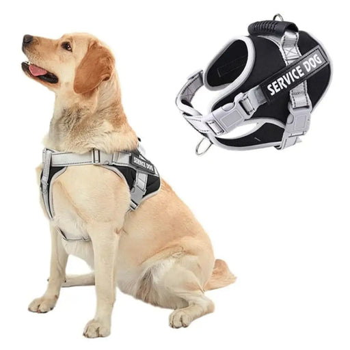 Heavy Duty No Pull Breathable Padded Dog Harness Leash Set