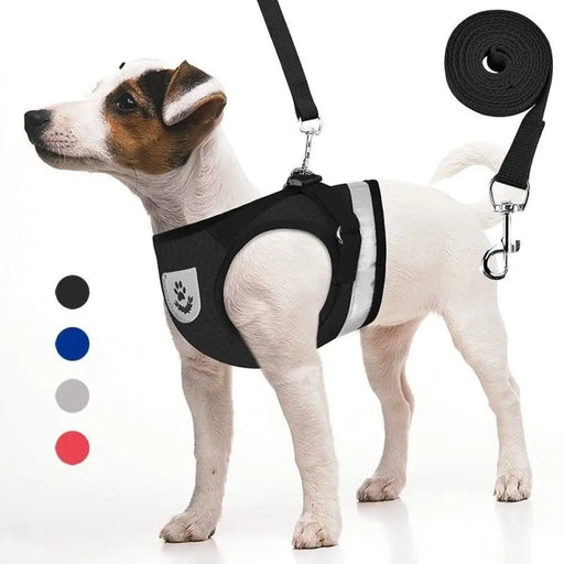 Reflective Breathable Escape Proof Pet Harness Leash Set For