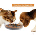 2 In 1 Soft Silicone Non-slip Pet Slow Feeder For Small