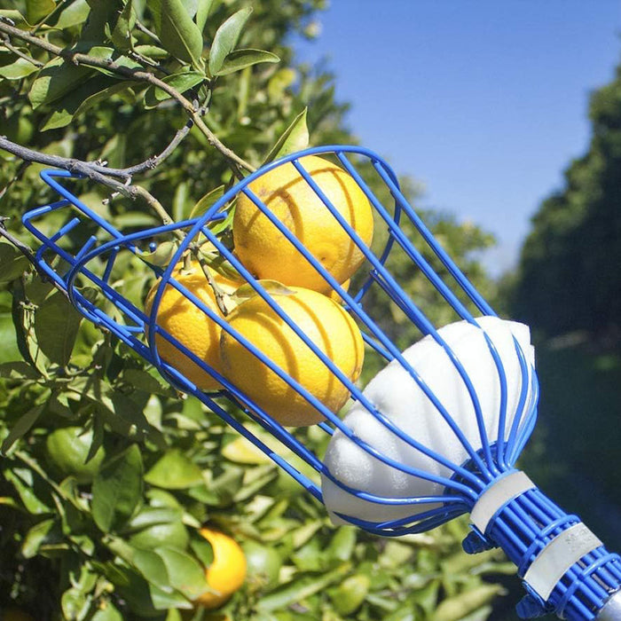 Vibe Geeks Easy-Pick Fruit Harvester Tool For Orchard And Garden