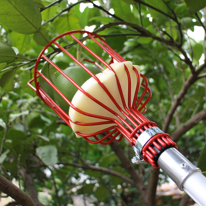 Vibe Geeks Easy-Pick Fruit Harvester Tool For Orchard And Garden