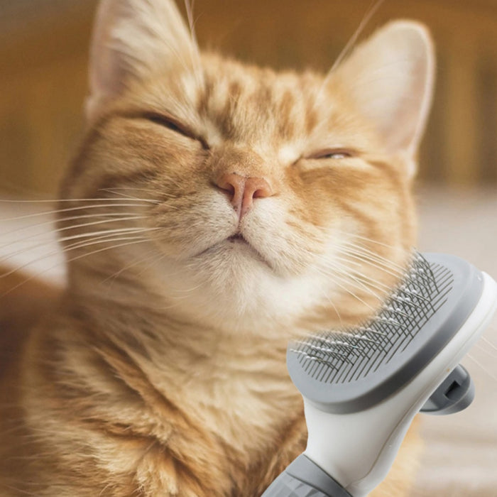 Vibe Geeks Pet Hair Remover Brush For Dogs And Cats