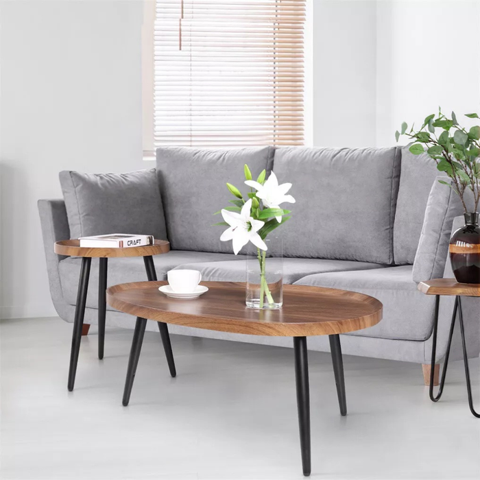 Vibe Geeks Modern Irregular Drop-Shaped Coffee Table Set