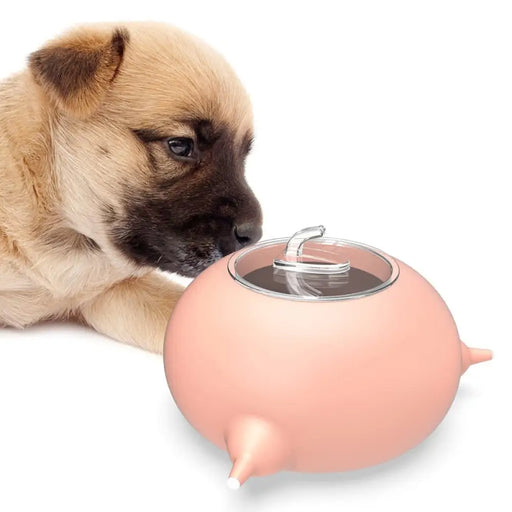 3 Nipple Silicone Pet Milk Feeder Bowl For Kittens Puppies