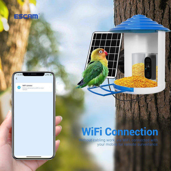 Ip66 Waterproof 2Mp Pir Motion Detection Two-Way Audio Night Vision Wifi Camera With Ai Bird Recognition Bird Watching House