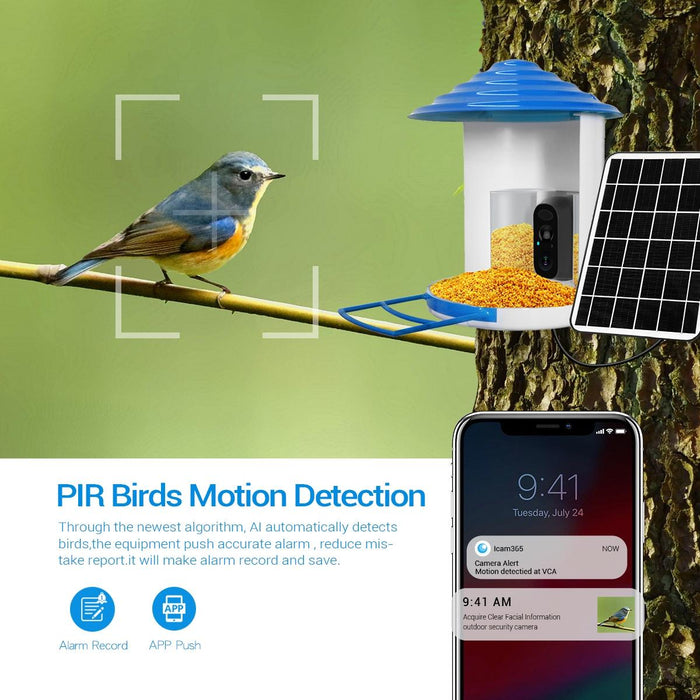 Ip66 Waterproof 2Mp Pir Motion Detection Two-Way Audio Night Vision Wifi Camera With Ai Bird Recognition Bird Watching House