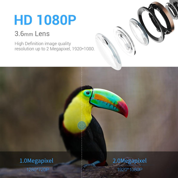 Ip66 Waterproof 2Mp Pir Motion Detection Two-Way Audio Night Vision Wifi Camera With Ai Bird Recognition Bird Watching House