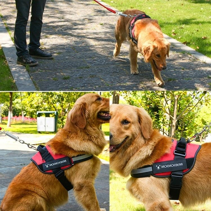 Anti Sprint Dog Chest Strap & Traction Rope Size L 23 30Kg