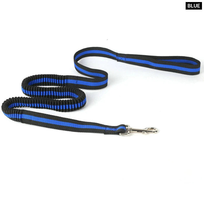 Bungee Dog Leash Lightweight Strong And Quick Release