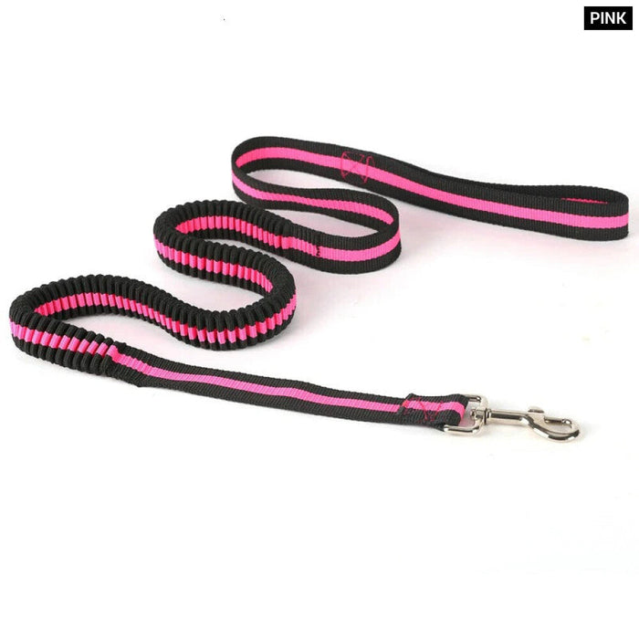 Bungee Dog Leash Lightweight Strong And Quick Release