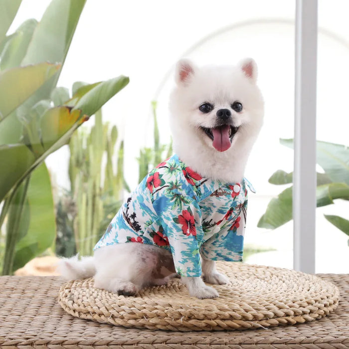 Floral Beach Shirt For Small Dogs