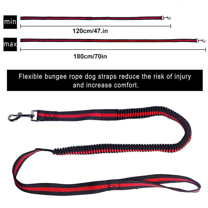 Bungee Dog Leash Lightweight Strong And Quick Release