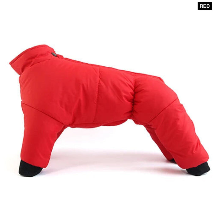 Winter Dog Coat For French Bulldog