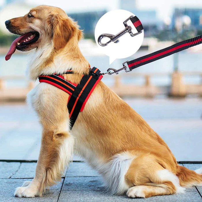 Bungee Dog Leash Lightweight Strong And Quick Release