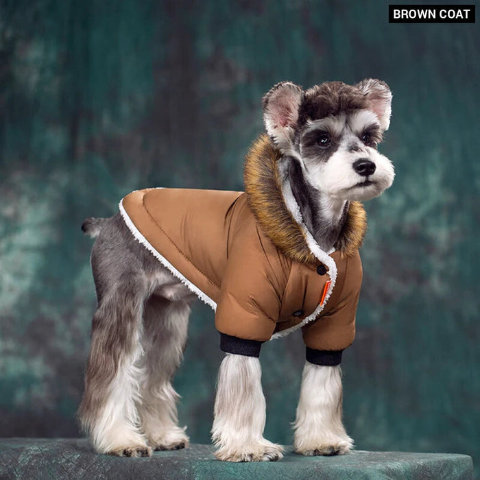 Waterproof Dog Hoodie For Small Breeds