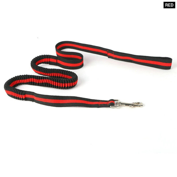 Bungee Dog Leash Lightweight Strong And Quick Release