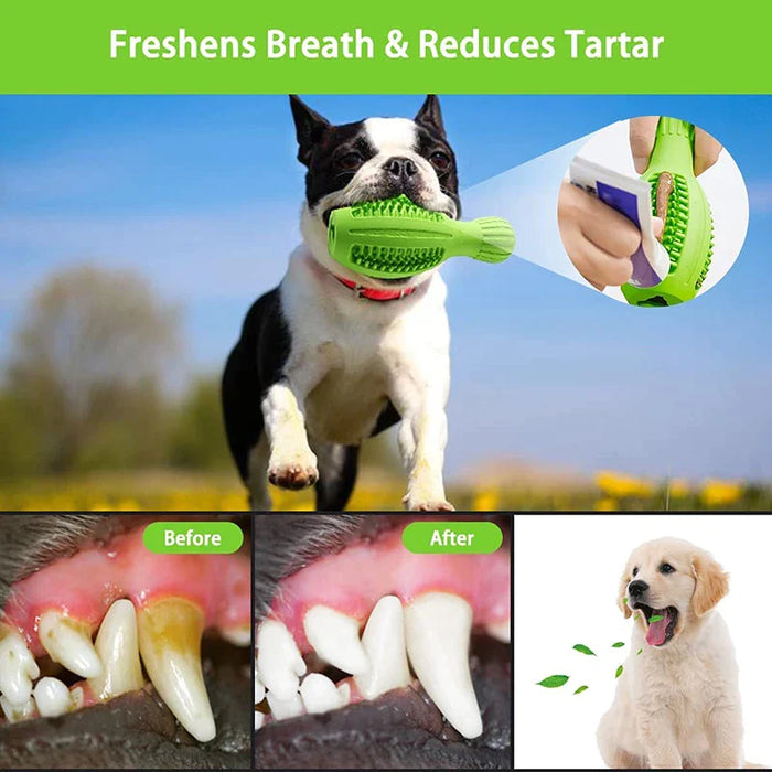 Dog Chew Toy Safe Squeaky Milk Flavored