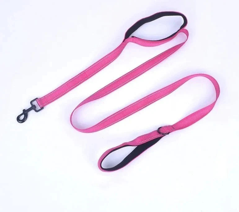 Flexible Leash For Large Dogs 8 Colour Options