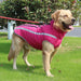 Thick Waterproof Winter Coat For Large Dogs