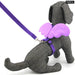 Pet Leash And Collar Set For Small Dogs Cats