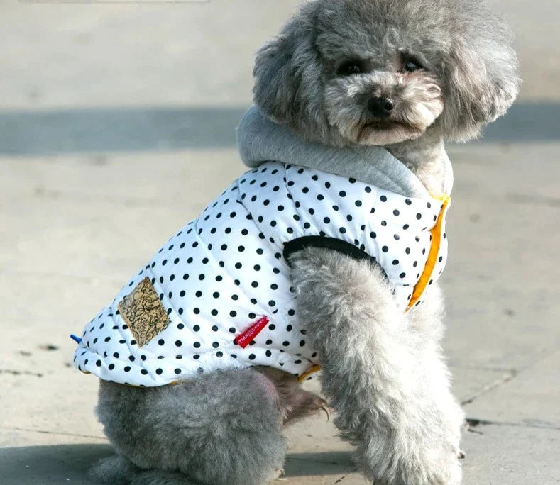 Winter Pet Jacket For Small Dogs