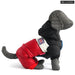 Winter Dog Jacket For French Bulldog And Chihuahua