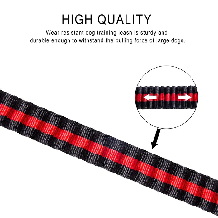 Bungee Dog Leash Lightweight Strong And Quick Release