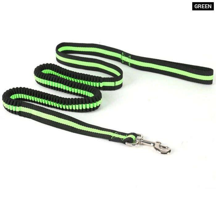 Bungee Dog Leash Lightweight Strong And Quick Release