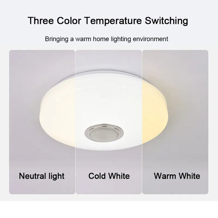 Smart Rgb Ceiling Lamps With Music And Remote 42W 60W