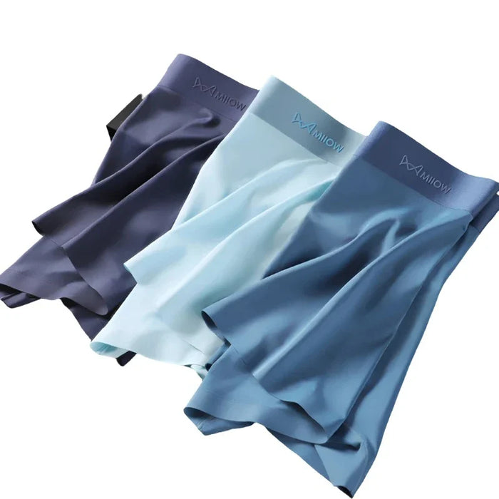 3 Piece Antibacterial Mens Boxer Briefs