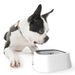 1.5l Pet Water Bowl