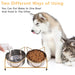 Raised Double Cat Bowls Anti Vomiting Pet Feeding Dishes