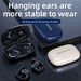 Wireless Bluetooth 5.3 Noise Reduction Ear Hook Hifi Stereo