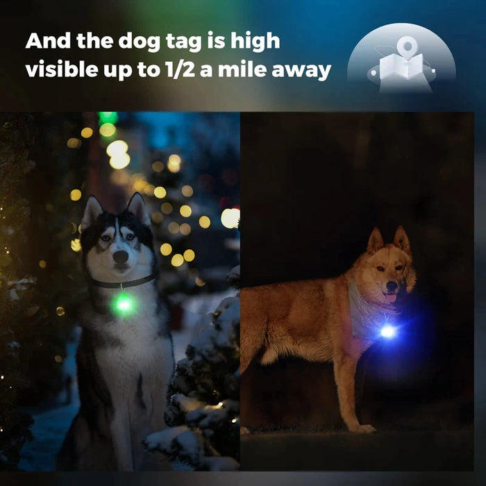 Usb Rechargeable Led Dog Collar Light