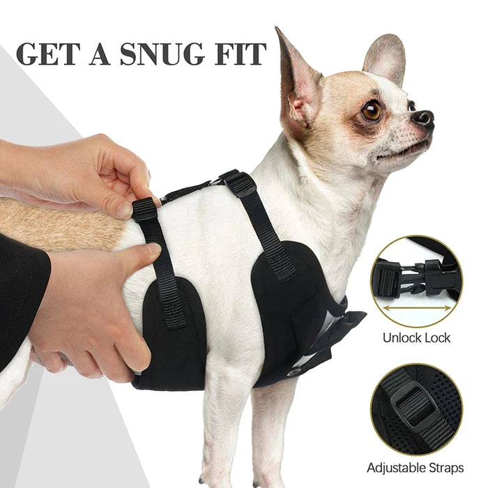 No Pull Tuxedo Dog Harness Set With Leash And Bow Tie Soft Breathable Mesh