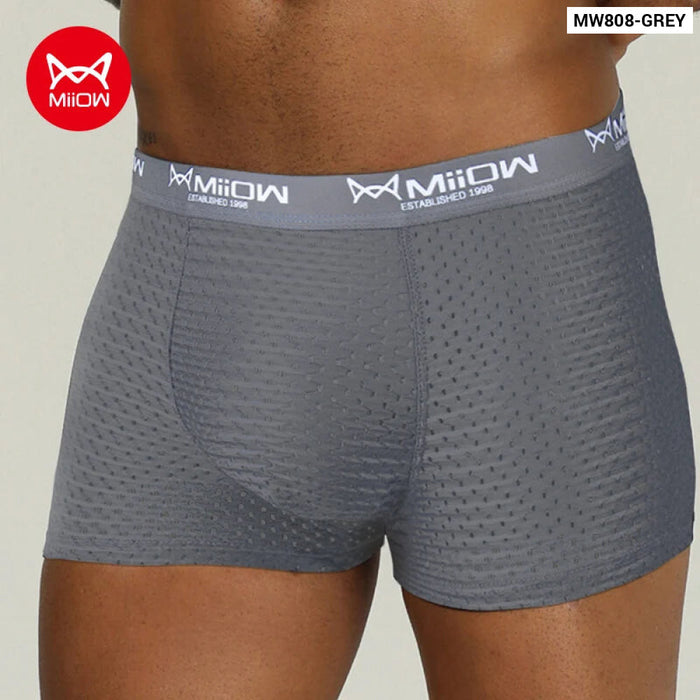 Breathable Mesh Mens Boxer Briefs