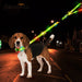 Led Dog Leash Collar Set Waterproof Usb Rechargeable