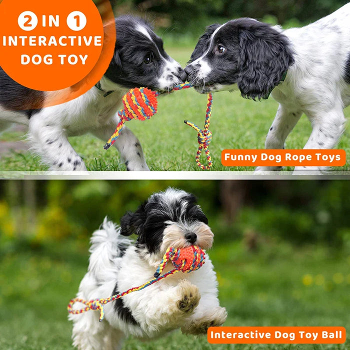 Tough Dog Toys Interactive Chew