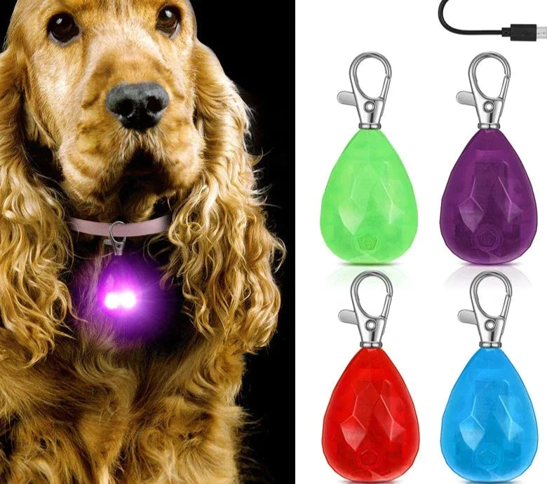 Usb Rechargeable Led Dog Collar Light