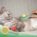 Self Cleaning Pet Brush Grooming Comb