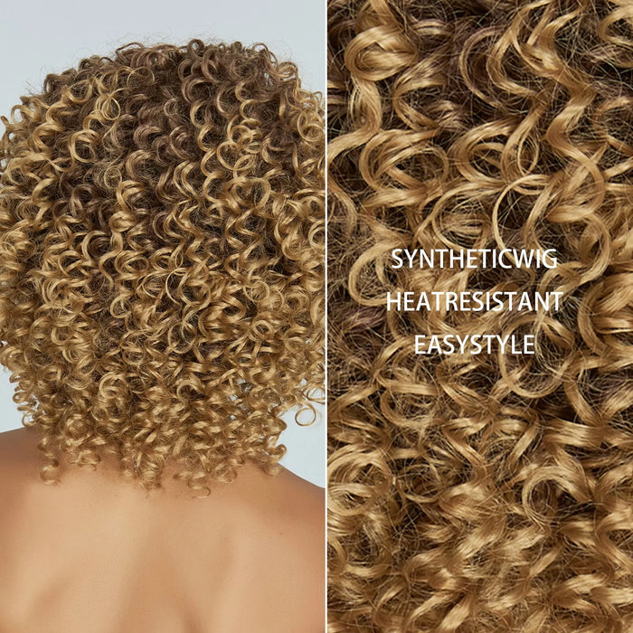 Short Brown Blonde Curly Synthetic Wig