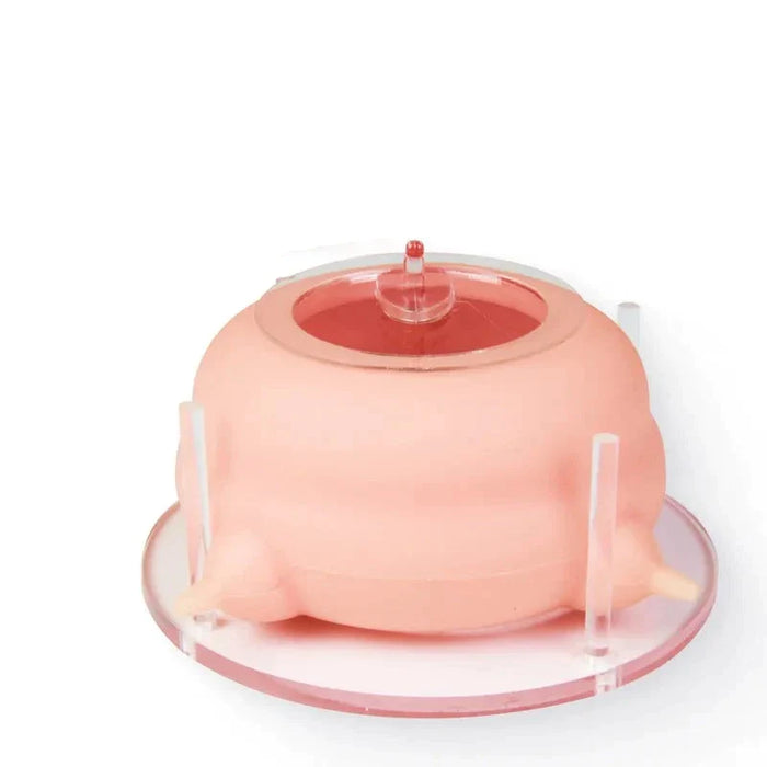 Newborn Pet Milk Feeder 4 Nipples 200ml Capacity