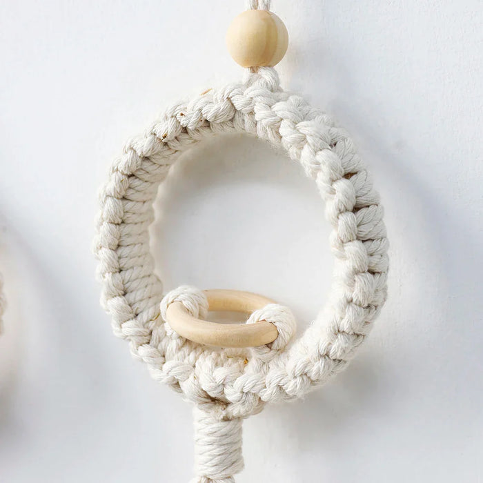 Boho Macrame Wall Hanging For Air Plants