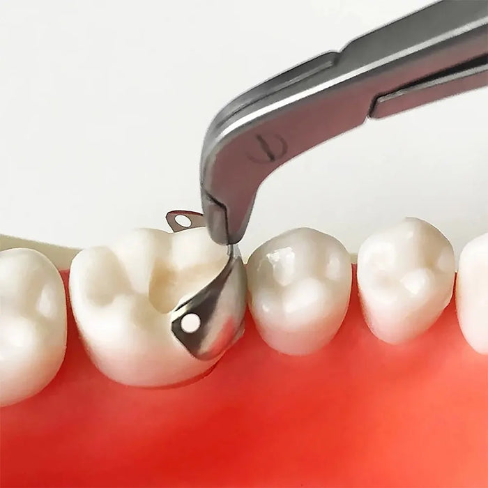 Contoured Matrix System For Dentists