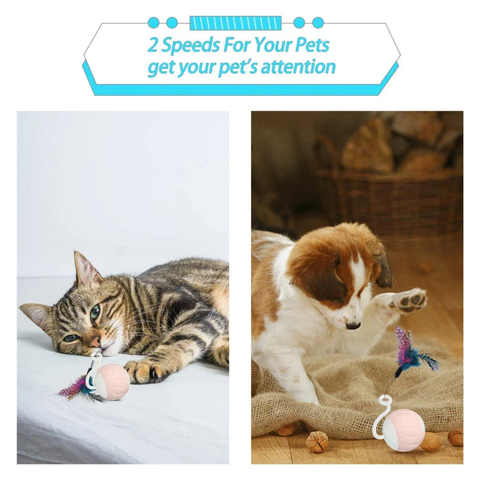 Smart Cat Toy Interactive Electric Kitten Ball With Led Light 3 Feathers Usb Charging